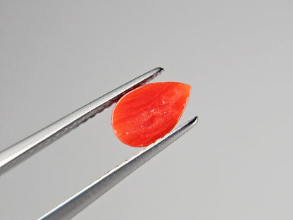 SNG-5　珊瑚　0.76ct