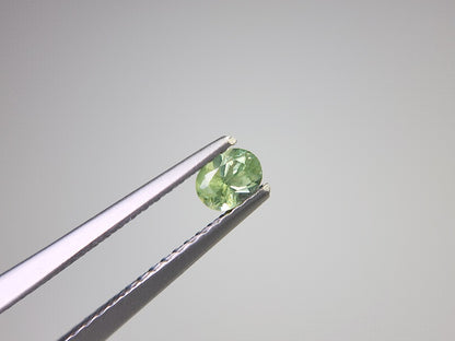 0873-5-4　デマントイドガーネット　0.26ct