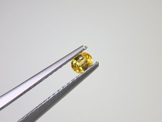 【500円均一】11/17正午まで　イエローサファイア　0.15ct　3