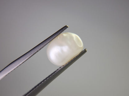 【500円均一】11/24正午まで　淡水パール（穴あき）　2.54ct　2