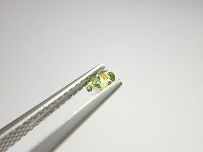 0873-5-1　デマントイドガーネット　0.21ct