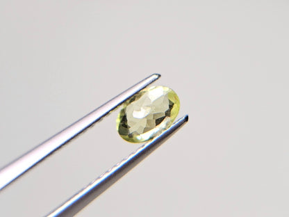PCRS-7　パロットクリソベリル　0.45ct