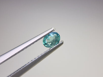 0003-25　コーネルピン　0.20ct