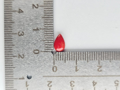 SNG-4　珊瑚　0.77ct