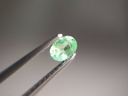 0003-5　コーネルピン　約0.21ct