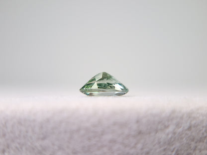 0655-12-1　ゾイサイト　0.46ct