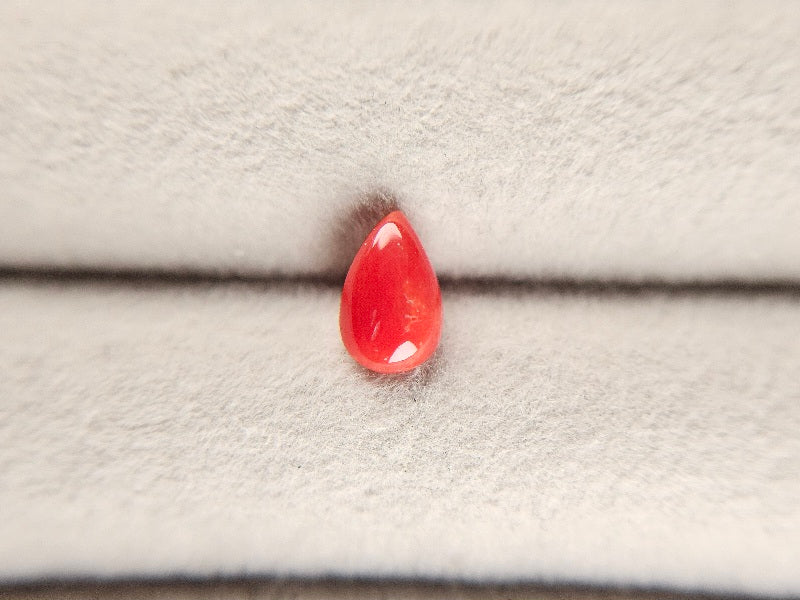 SNG-4　珊瑚　0.77ct