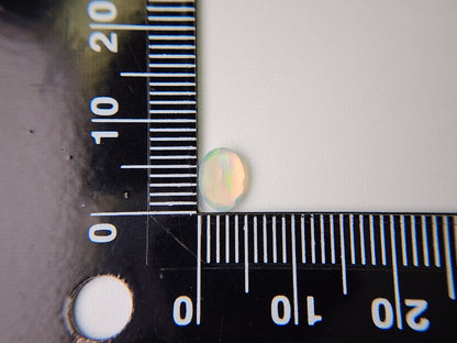 0909-2-6　オパール　0.59ct