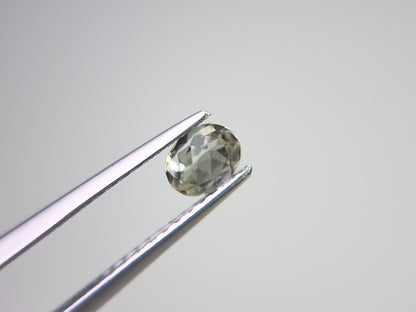 0654-1-12　ゾイサイト   0.26ct