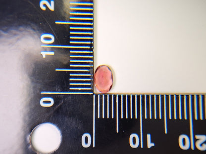 0152-1-17　バイカラーアンデシン　0.49ct