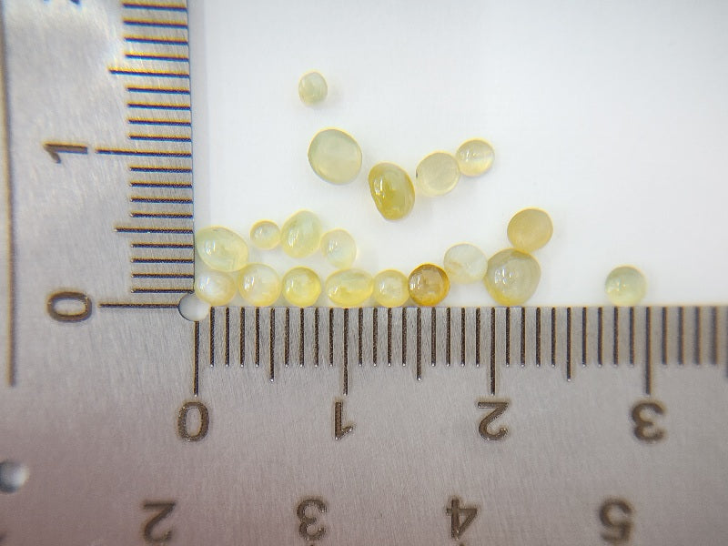 LTE-CRSce-2　【リトル東洋ルース】クリソベリルキャッツアイ　合計3.20ct[写真の宝石すべて]