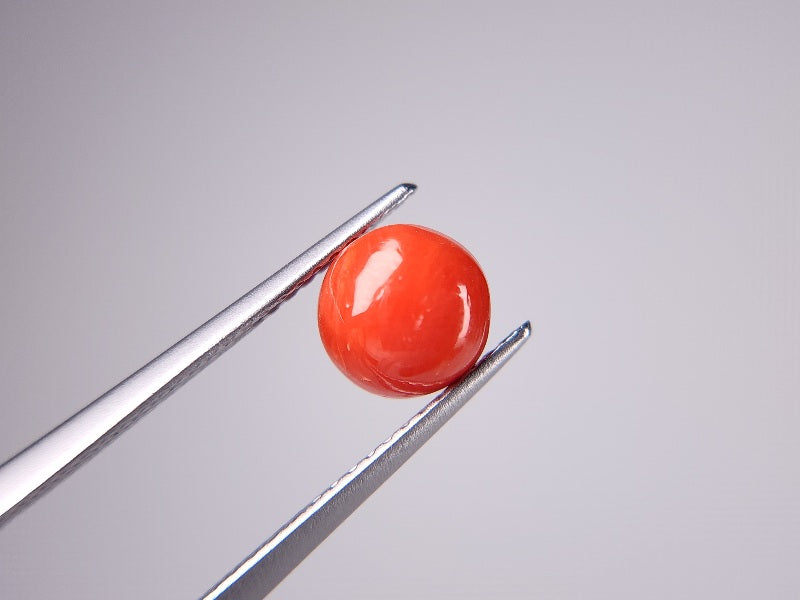SNG-14　珊瑚　1.38ct