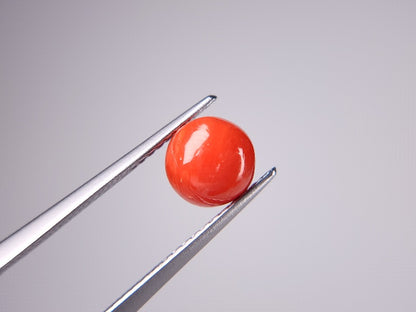 SNG-14　珊瑚　1.38ct