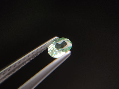 0003-4　コーネルピン　約0.21ct