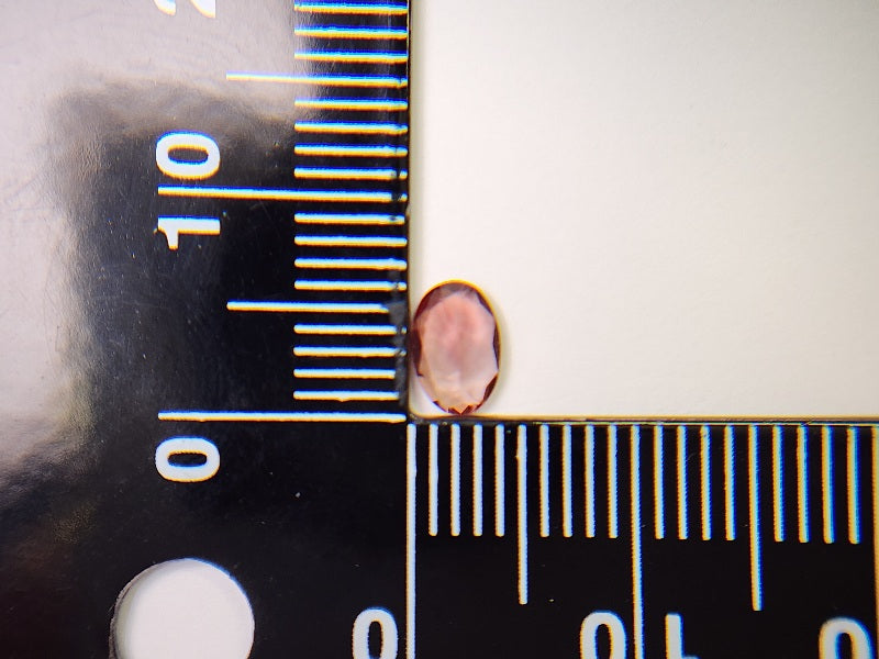 0152-2-12　バイカラーアンデシン　0.41ct