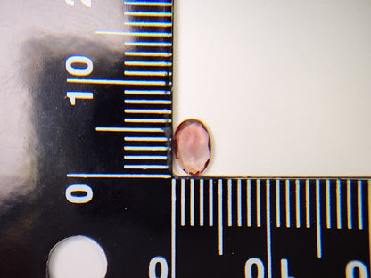 0152-2-12　バイカラーアンデシン　0.41ct