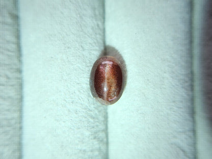 0012-4　スキャポライトキャッツアイ　1.83ct