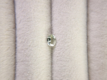 0654-1-9　ゾイサイト   0.31ct