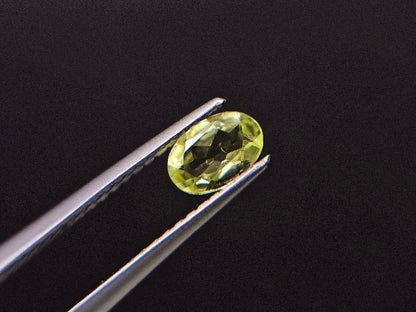 PCRS-8　パロットクリソベリル　0.45ct