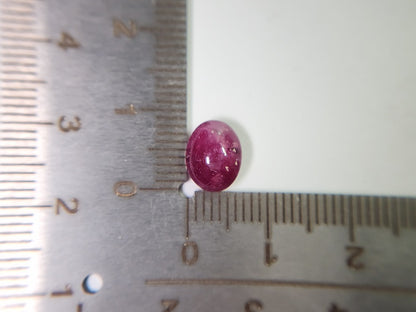 pu-SSA-28　パープルスターサファイア　3.40ct
