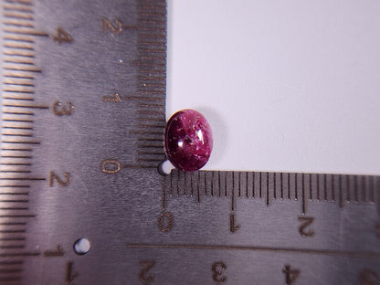 pu-SSA-16　パープルスターサファイア　4.34ct