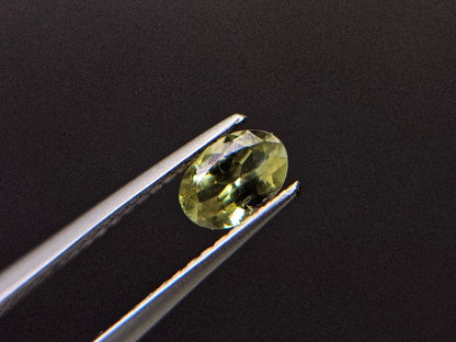 PCRS-5　パロットクリソベリル　0.50ct