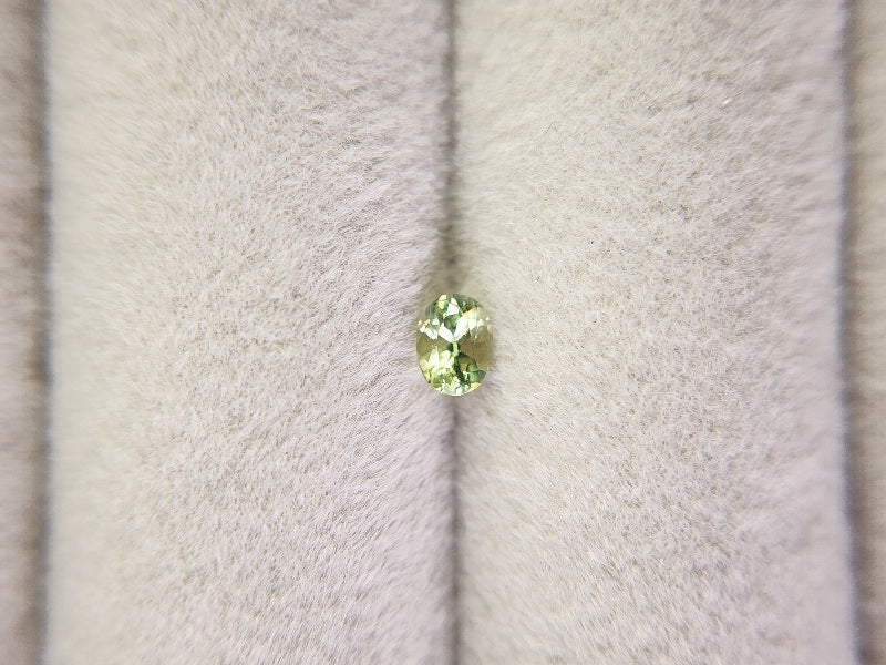 0873-5-1　デマントイドガーネット　0.21ct