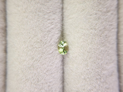 0873-5-1　デマントイドガーネット　0.21ct