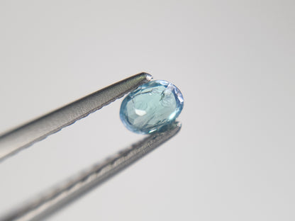 0003-1　コーネルピン　約0.21ct