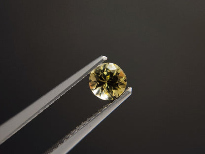 0657-19-2　ゾイサイト　0.49ct