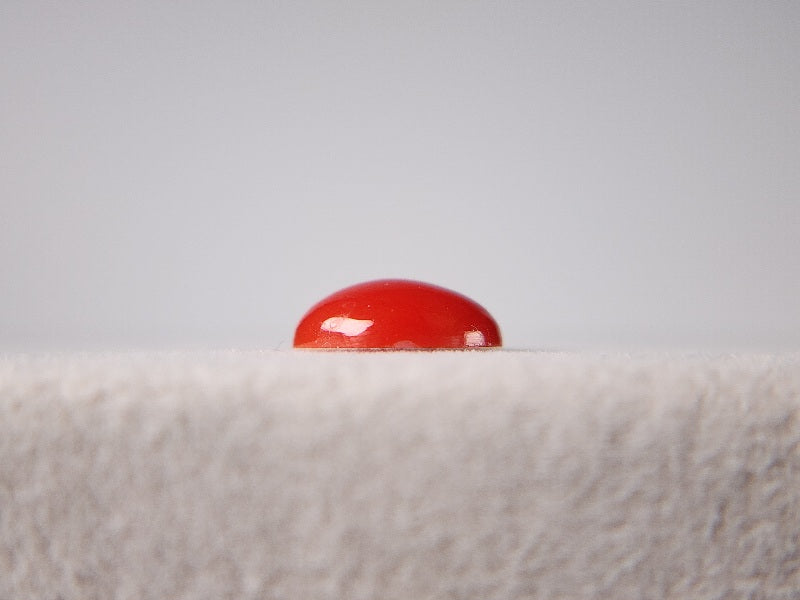 0938-31　珊瑚　1.55ct