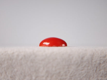 0938-31　珊瑚　1.55ct