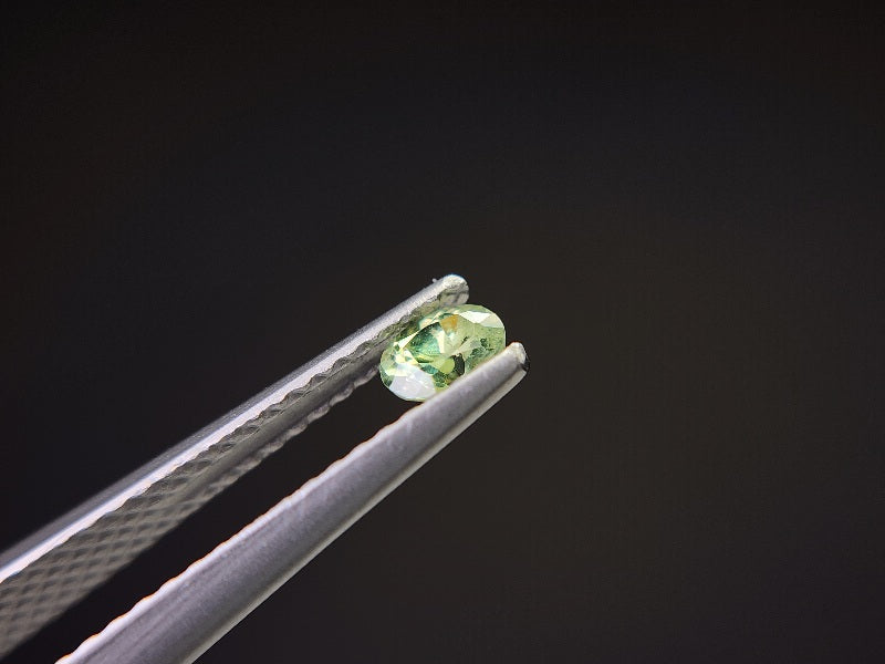0873-5-3　デマントイドガーネット　0.25ct