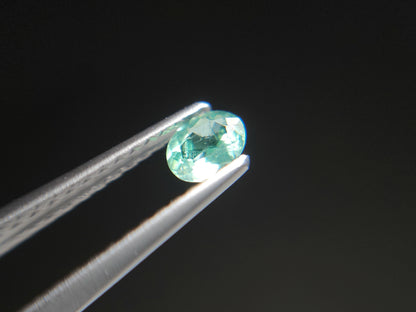 0003-3　コーネルピン　約0.21ct