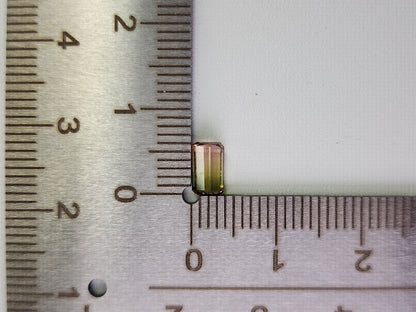 bc-TRM-4　バイカラートルマリン　0.66ct