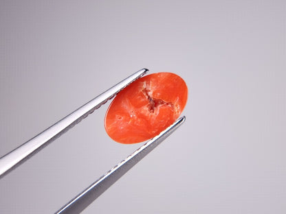 SNG-13　珊瑚　1.38ct