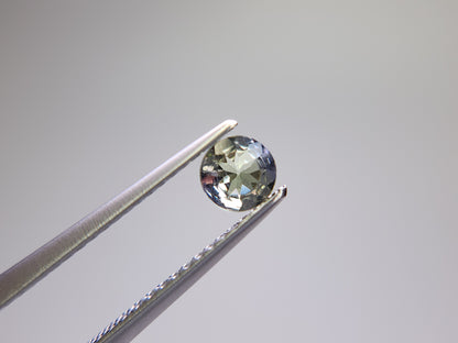0657-23-3　ゾイサイト　0.40ct