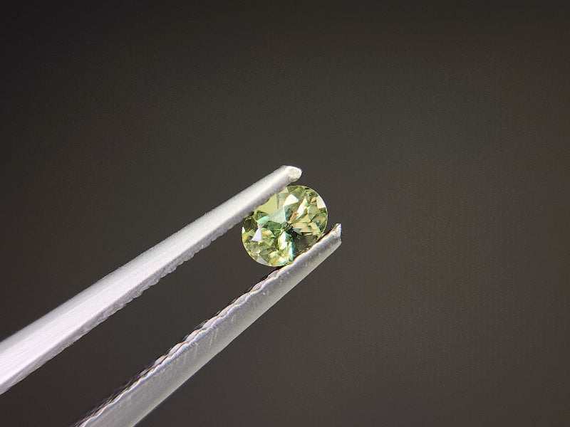 0873-5-1　デマントイドガーネット　0.21ct