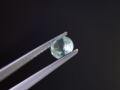 0878-1-1　グリーンベリル　0.42ct