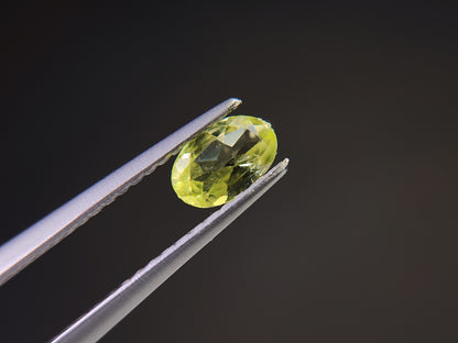 0928-5　パロットクリソベリル　0.38ct
