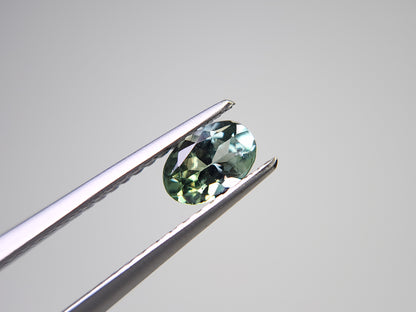 0655-12-1　ゾイサイト　0.46ct
