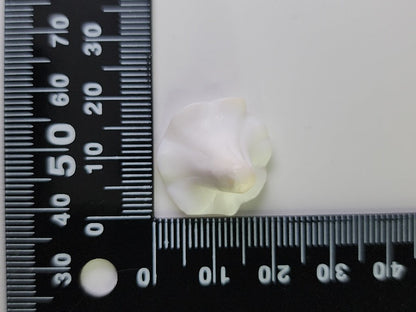 0933-2　コンクシェル　11.49ct