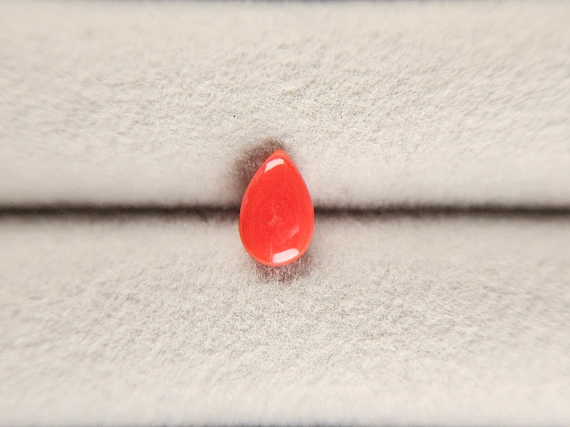 SNG-5　珊瑚　0.76ct