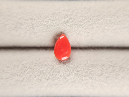 SNG-5　珊瑚　0.76ct