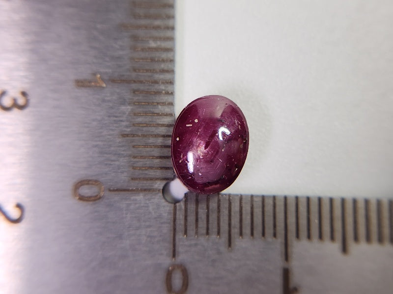 pu-SSA-21　パープルスターサファイア　3.95ct