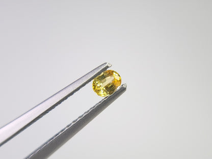 【500円均一】11/17正午まで　イエローサファイア　0.15ct　4