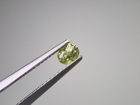 0873-5-2　デマントイドガーネット　0.30ct