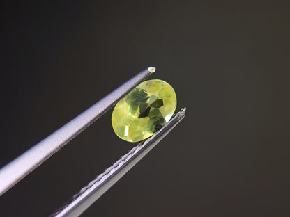 0928-3　パロットクリソベリル　0.47ct
