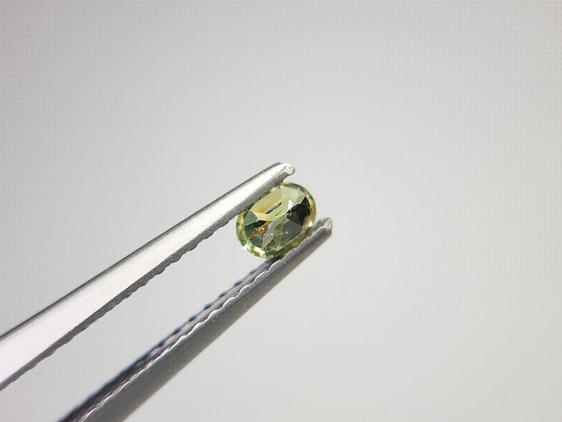 0873-5-1　デマントイドガーネット　0.21ct