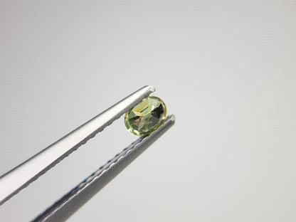 0873-5-1　デマントイドガーネット　0.21ct